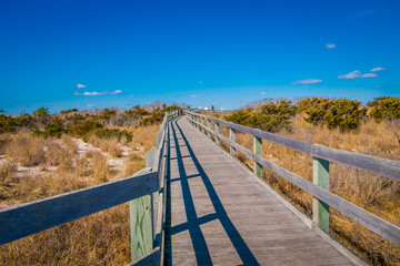 Fototapeta na wymiar Outdoor view of long wooden bridge at Long island
