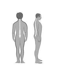 correct posture. the correct position of the spine in a person standing. vector illustration.
