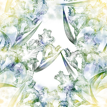 Irises. Seamless pattern. Decorative composition - flowers and buds of irises on the background of watercolor. 