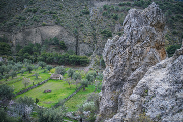 small house in a valley of olive trees