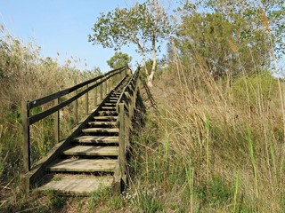 Escalera de madera en el campo