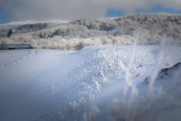 Fototapeta na wymiar Dusk Winter landscape on mountain 