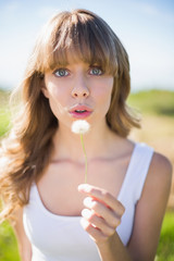 Pretty young woman blowing on dandelion