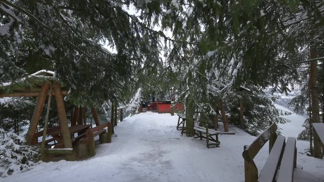 Pines promenade 