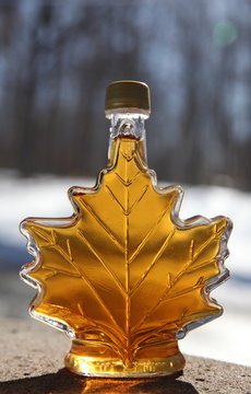 Bottle of maple syrup, outdoors in spring