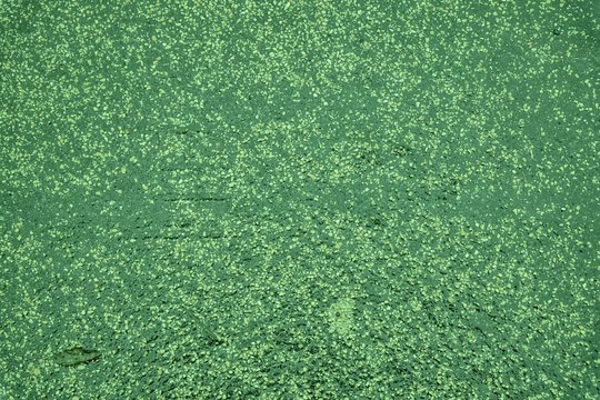 Ultra green Texture of black rubber floor on playground. ( Ethylene Propylene Diene Monomeror EPDM)