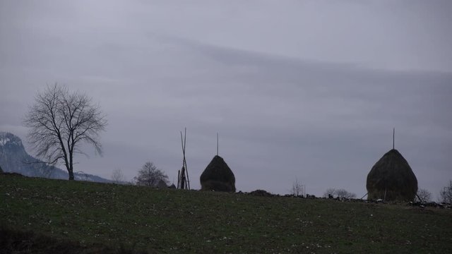 Haystacks and trees on a field