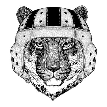 Cool animal wearing rugby helmet Extreme sport game Wild cat Leopard Cat-o'-mountain Panther Hand drawn picture for tattoo, emblem, badge, logo, patch, t-shirt