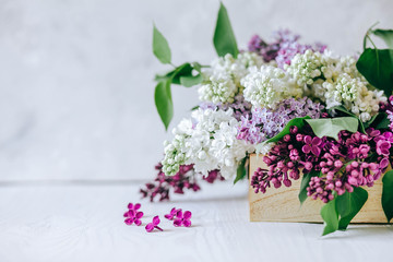 Lilac flowers bunch on white planks wood background. Beautiful violet Lilac flower still life Easter border design on wooden table. Beauty fragrant Lilac Flowers bouquet with Copy space