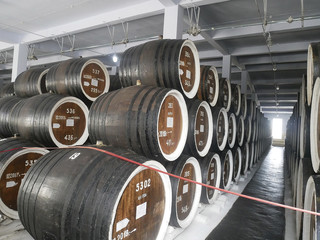 Fototapeta na wymiar oak barrel for cognac