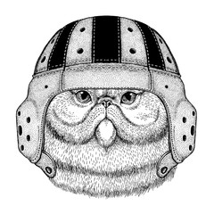 Cool animal wearing rugby helmet Extreme sport game