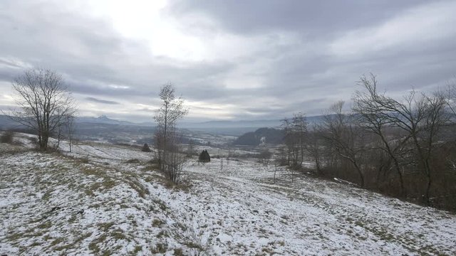 Leafless trees on a field in Oncesti 