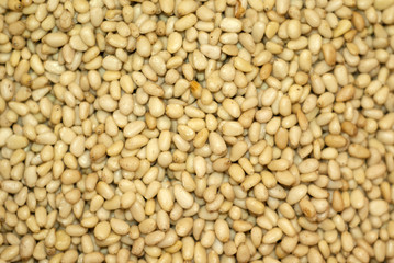 background - golden kernels of peeled pine nuts