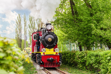 Old bright train in green city park on touristic railroad. Retro locomotive with clouds of steam from smoke pipe in forest