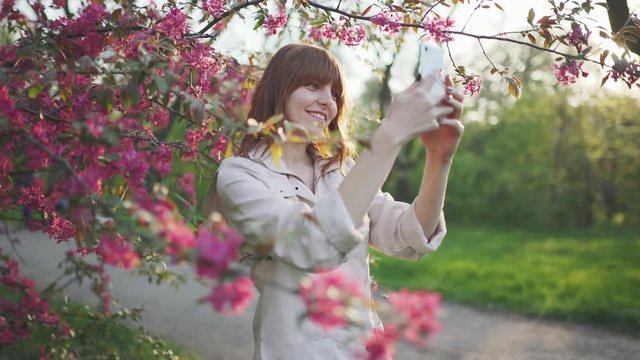beautiful young red-haired woman among cherry blossom sakura tree spring pink flowers making selfie on smartphone on sunset 