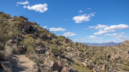 Fototapeta na wymiar Hikers on Pinnacle Peak Trail in Arizona