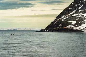 Fototapeta na wymiar shore of the Atlantic Ocean in Iceland