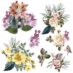 Collection of vector flowers, roses and suculents