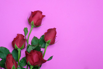 Fototapeta na wymiar bouquet of red roses