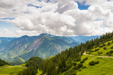 Fototapeta premium Weg zum Herzogstand in den Alpen im Sommer