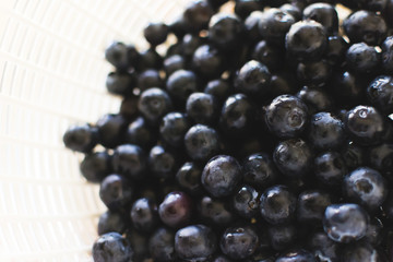 Bowl of Blueberries