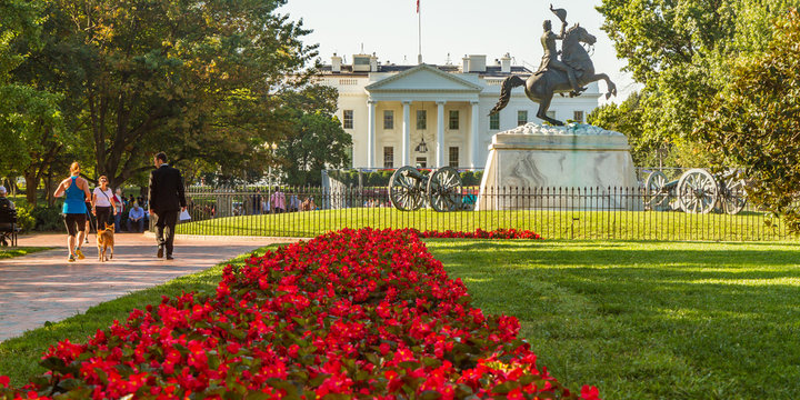 White House in Washington, D.C., United States. Color landscape photo in the early morning, a statue of Andrew Jackson in the foreground and red flowers leading up to statue with people on sidewalk