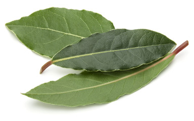 Obraz premium Aromatic bay leaves