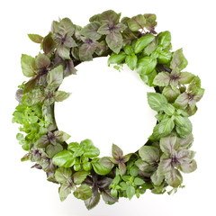 Various sweet basil herb leaves round frame. Healthy food concept. Top view with copy space.