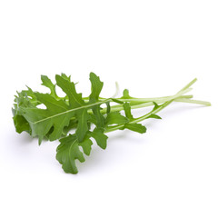 Close up studio shot of green fresh rucola leaves isolated on white background. Rocket salad or arugula.