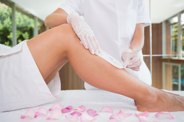 Obraz na płótnie Canvas Woman getting her legs waxed by beauty therapist