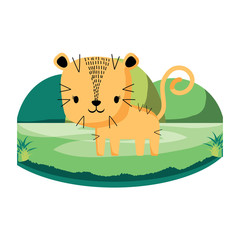 Obraz na płótnie Canvas cute tiger on the grass over white background, colorful design. vector illustration