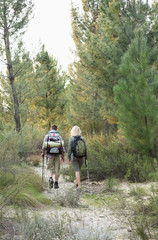Obraz premium Rear view of a fit young couple exploring the woods