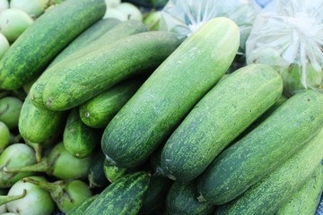 Fresh cucumbers for cooking in the market
