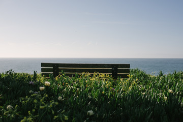 bench with a view