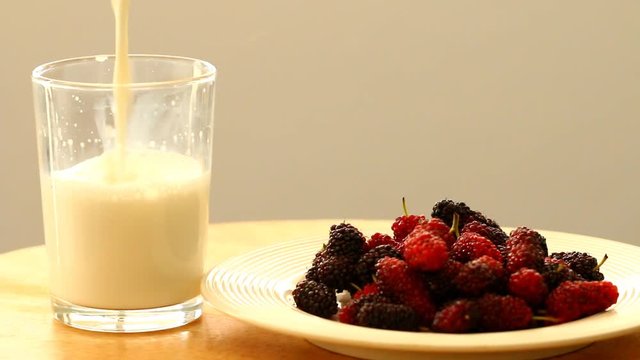Pouring milk in glass , near mulberries  in plate