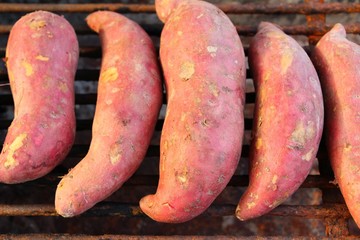 Sweet potatoes grill on stove is delicious