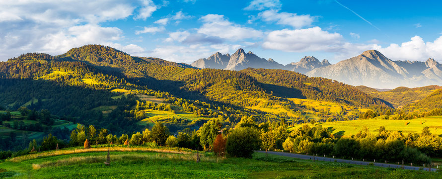 mountainous panorama of countryside at sunrise in summer. grassy fields in morning light. composite image with ridge of High Tatra rocky peaks in the distance under the blue sky with some clouds. 