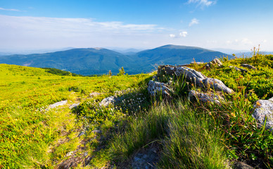 Fototapeta na wymiar grassy meadow with giant boulders on the slope. mountain ridge on a beautiful sunny summer day. wonderful Carpathian landscape 