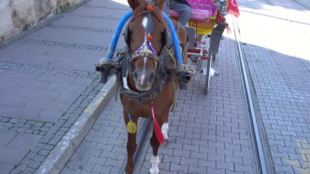 On street one is row of carriages with horses at day With Sound