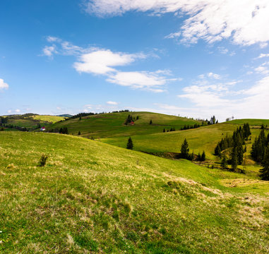 rolling hills of Podobovec valley. lovely rural landscape of Carpathian mountains, Ukraine