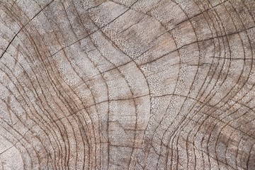 Fototapeta premium Old wooden beauty wall background and texture