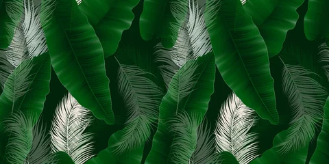 Wandaufkleber Seamless pattern, green Asplenium nidus, Birds Nest Fern and palm leaves on dark green background © momosama