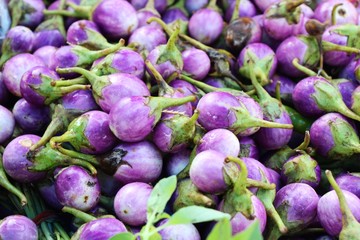 Fresh eggplant purple organic in the market