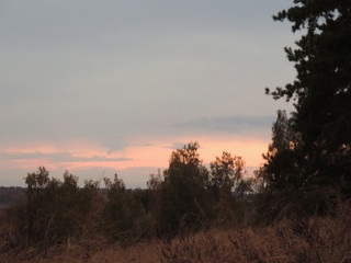 Fototapeta premium осень на реке