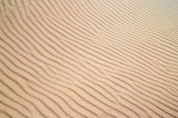 Fototapeta na wymiar Waves on the sand from the wind