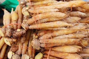 Ginger root for cooking in the market