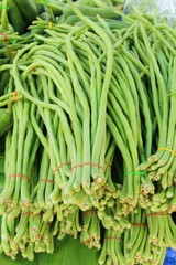 Long bean for cooking in the market