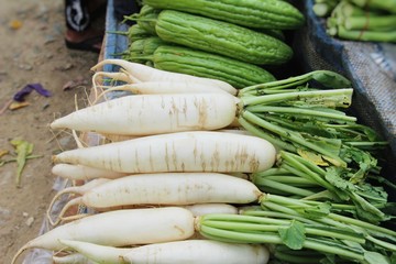 Fresh radish for cooking in the market