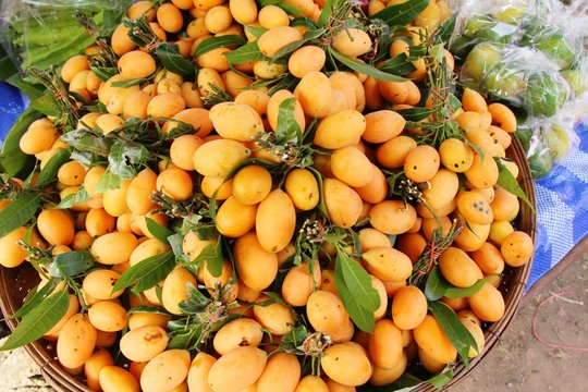 Thai plango fruit or marian plum at street food