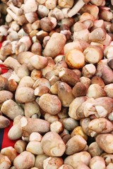 Fresh mushrooms for cooking in the market